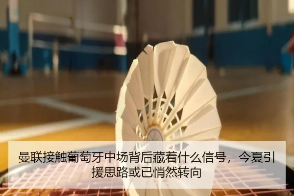曼联接触葡萄牙中场背后藏着什么信号，今夏引援思路或已悄然转向